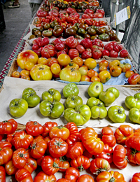 Heirloomtomatoes