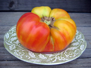 Tomato