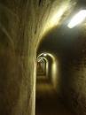 Images-2