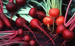Beets5