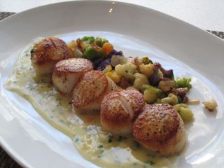 Scallops & Cauliflower