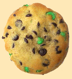 REAL-paddy