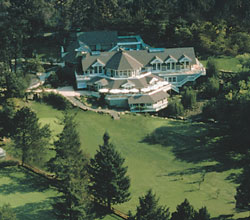 Meadowood2