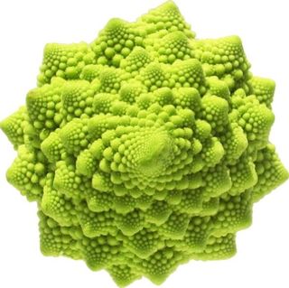 Romanesco