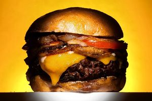OD-AH438_burger_G_20110603171906