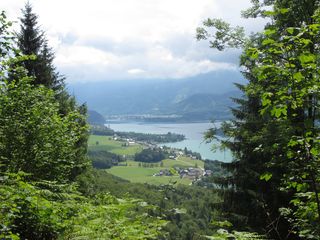 IMG_0364