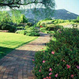 Grounds_-_17_fs
