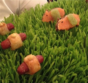 Pigsinblankets-300x281
