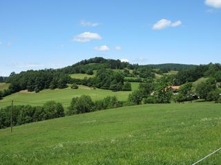 IMG_0206