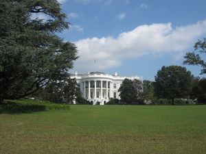IMG_0764