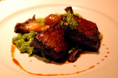 Bison